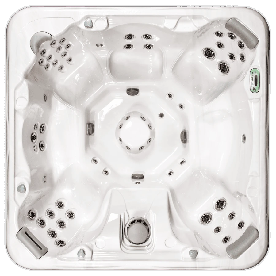 Artesian South Seas 860B overhead